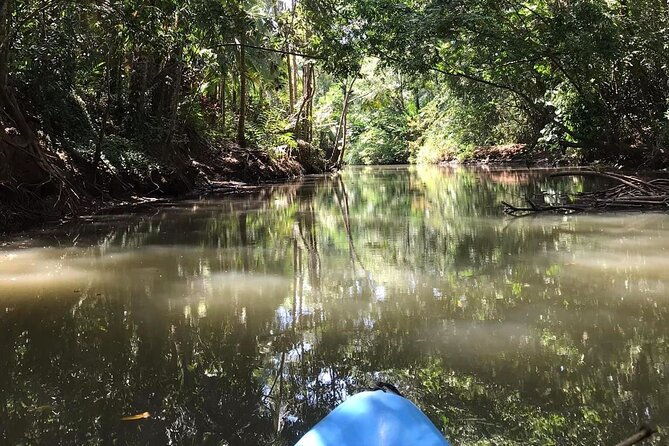 2-hour-kayak-tour-in-quepos