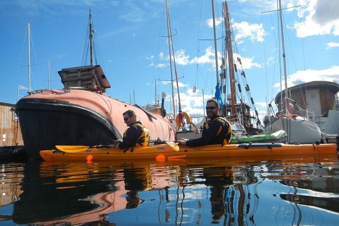 2-hour-kayak-trip-on-the-oslo-fjord-3