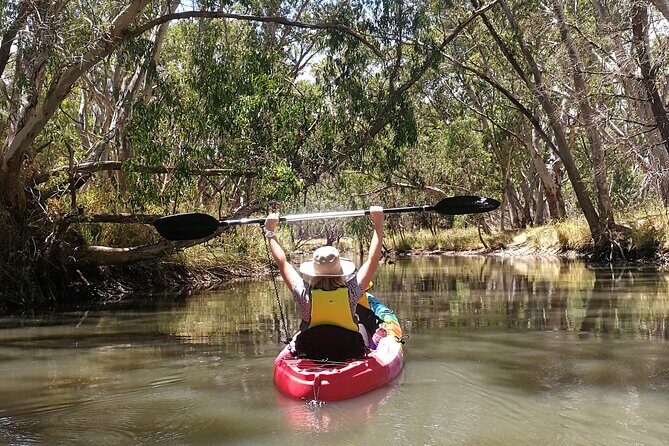 2-Hour Kayaking Experience in Barossa Valley - The Value of This Experience