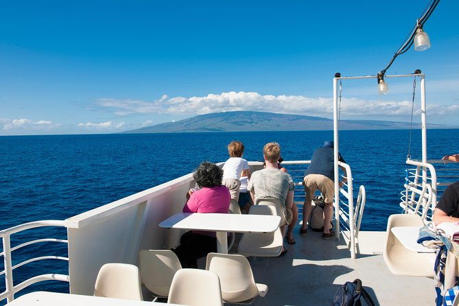 2-hour-oahu-whale-watch-from-ala-wai-harbor-waikiki