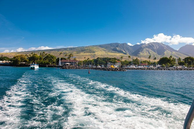 2-hour-oahu-whale-watch-from-ala-wai-harbor-waikiki