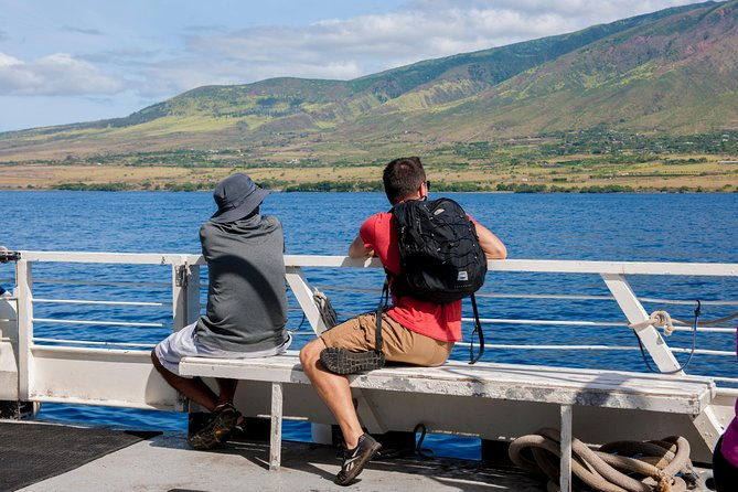 2-hour-oahu-whale-watch-from-ala-wai-harbor-waikiki