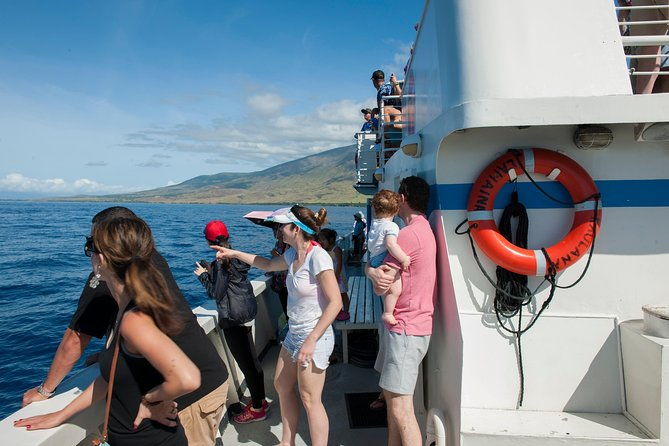 2-hour-oahu-whale-watch-from-ala-wai-harbor-waikiki