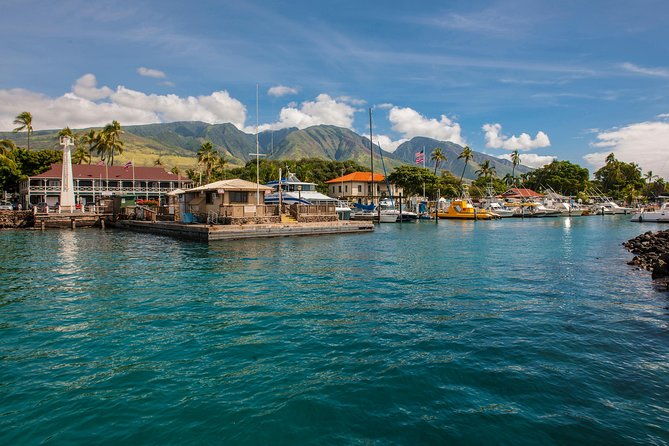 2-hour-oahu-whale-watch-from-ala-wai-harbor-waikiki