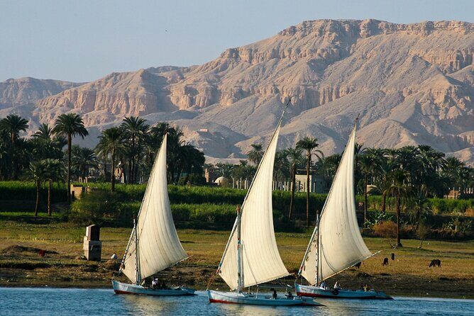 2 Hour Private Felucca Trip Tour on The Nile With Lunch in Luxor - The Experience in Detail