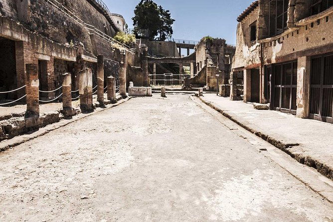 2-hour-private-guided-tour-of-herculaneum