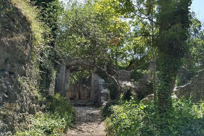 2-hour-private-hiking-tour-helenental-castles-hike-from-vienna