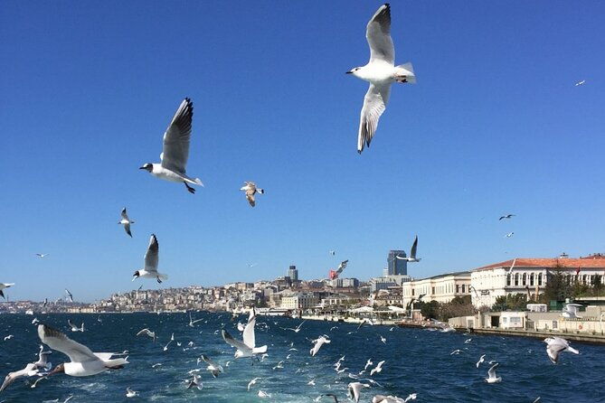 2-hour-private-luxury-yacht-cruise-on-bosphorus-with-transfers