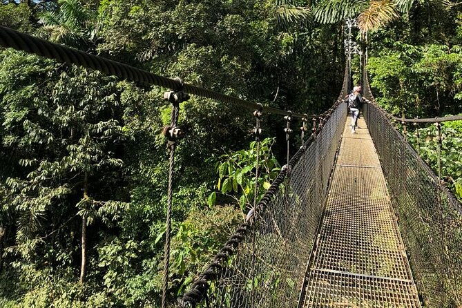 2-hour-private-mistico-hanging-bridges-naturalist-walk