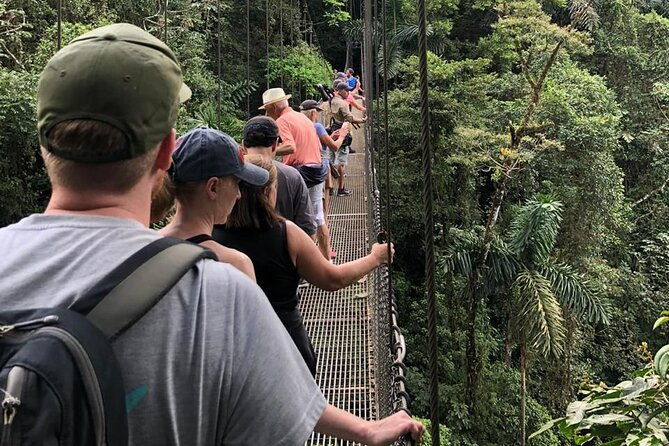 2-hour-private-mistico-hanging-bridges-naturalist-walk