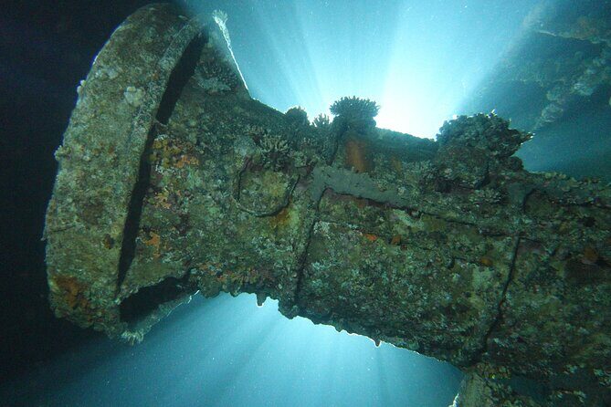 2 Hour Private Night Diving in the Red Sea of Aqaba - Who Will Love This Tour?