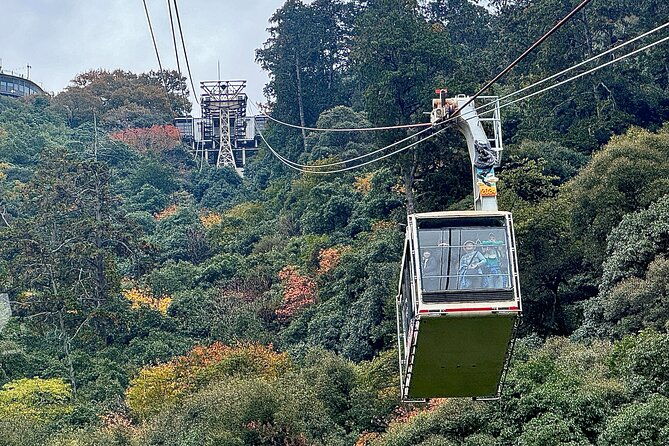2-hour-private-scenic-mountain-castle-tour-in-gifu