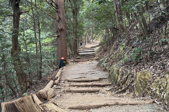 2-hour-private-scenic-mountain-castle-tour-in-gifu