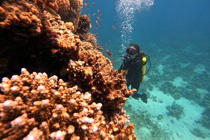 2-Hour Private Scuba Experience in Aqaba - The Sum Up