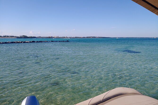 2-Hour Private Sightseeing Dolphin Tour in Panama City Beach - Introduction: What to Expect from This Dolphin Tour