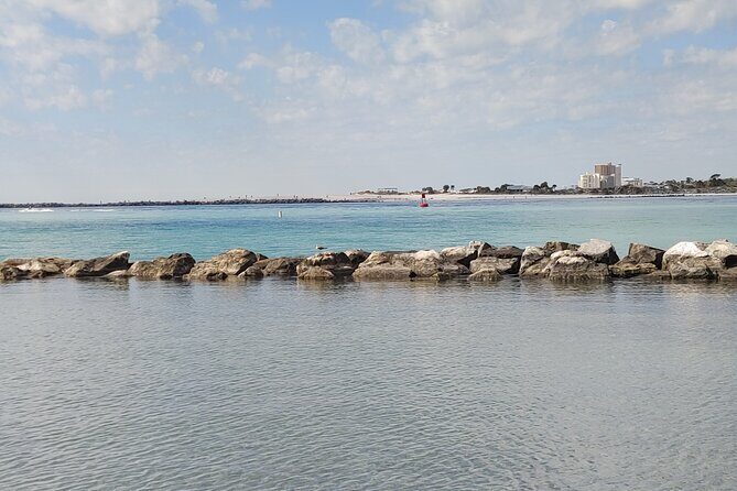 2-Hour Private Sightseeing Dolphin Tour in Panama City Beach - The Sum Up: Who Should Book This Tour?