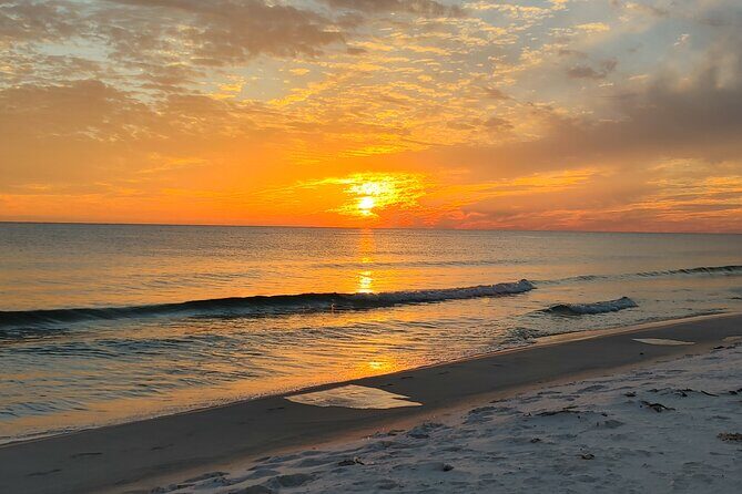 2-Hour Private Sightseeing Dolphin Tour in Panama City Beach - FAQ