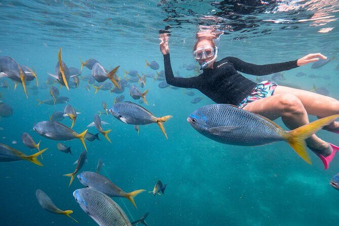 2-Hour Private Snorkelling in Maldives - Introduction: Exploring the Maldives Underwater World