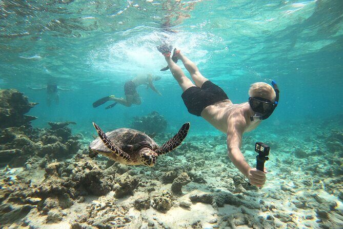2-Hour Private Snorkelling in Maldives - The Sum Up: Is This Tour Worth It?