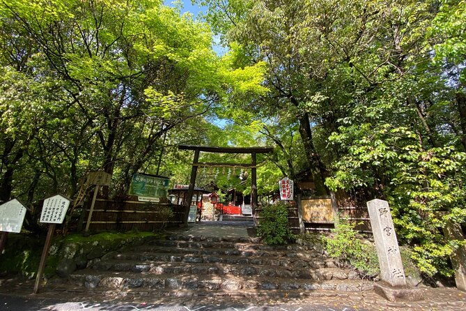 2-hour-private-tour-of-arashiyama-highlights