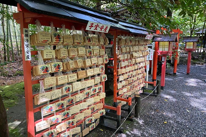 2-hour-private-tour-of-arashiyama-highlights