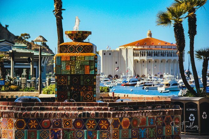 2-hour-private-tour-of-avalon