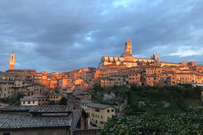 2-hour-private-walking-tour-in-siena-with-local-guide