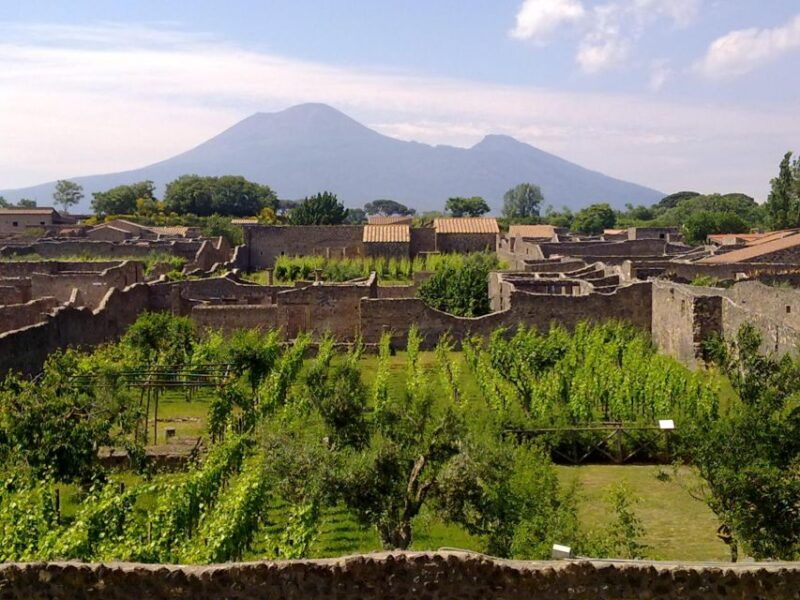 2-hour-private-walking-tour-of-pompeii