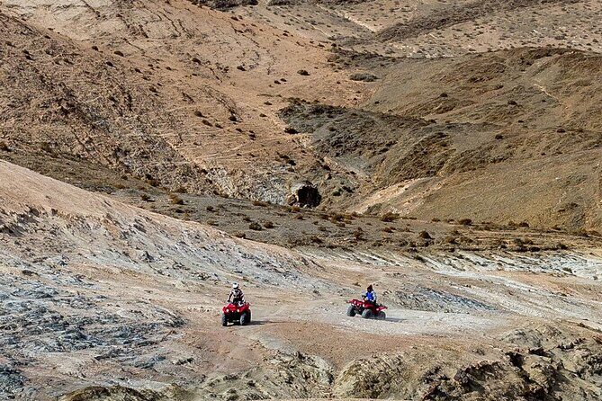 2-Hour Quad Adventure in the Palmerais Desert from Marrakech - The Sum Up: Who Will Love This Tour?