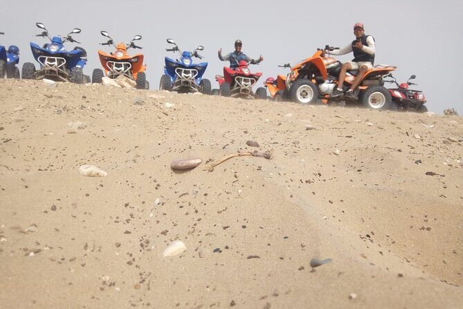 2 Hour Quad & ATV Experience - Who Should Book This Quad & ATV Tour?  