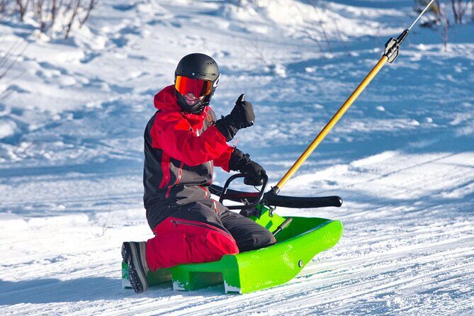 2-Hour Racing Toboggan at Dagali Fjellpark near Geilo in Norway - Authentic Insights from Reviewers