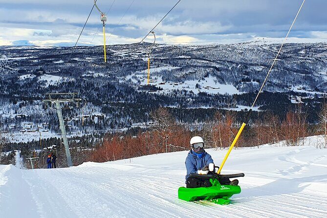2-Hour Racing Toboggan at Dagali Fjellpark near Geilo in Norway - Who Should Consider This Tour?
