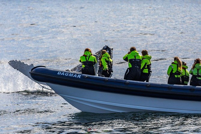 2-hour-rib-boat-whale-watching-tour-from-reykjavik