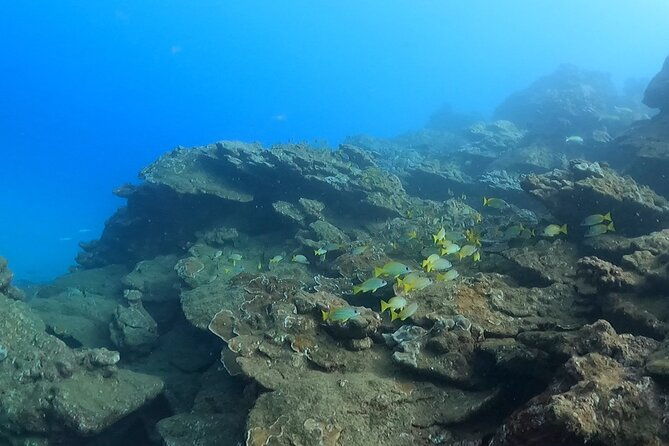 2-hour-snorkeling-adventure-in-kauai-2