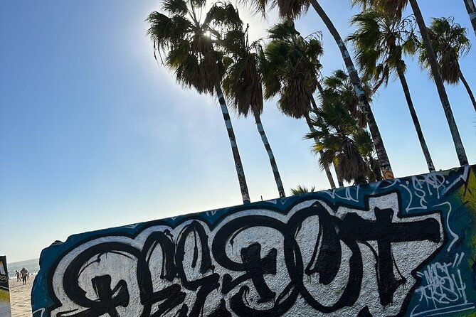 2-hour-spray-paint-in-famous-venice-art-walls