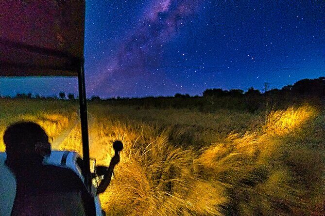 2 Hour Stargazing Tour in Victoria Falls NP Area in 4x4 - Key Points