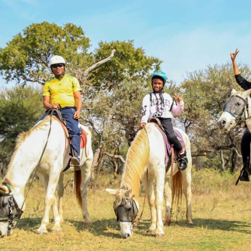 2 hour Sunrise Horseback Safari - Key Points  