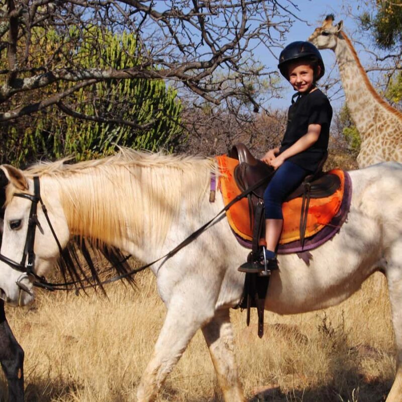 2 hour Sunrise Horseback Safari - An Overview of the Experience