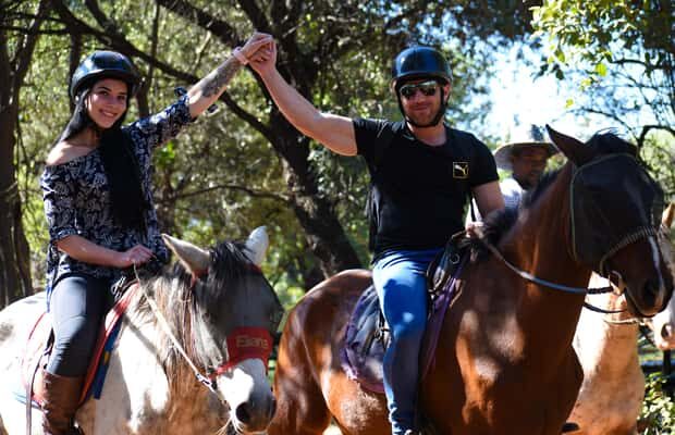 2 hour Sunrise Horseback Safari - The Sum Up