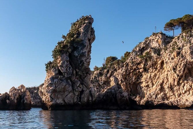 2-hour-sunset-dolphin-watching-shared-tour-in-luxury-boat