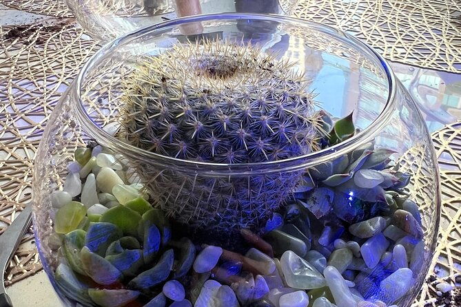 2-hour-terrarium-making-experience-with-cats-in-new-york