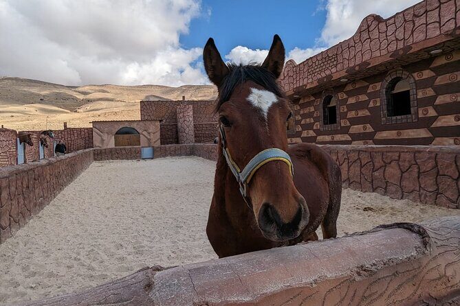 2 Hour Trail Ride to Little Petra-Morning or Sunset - Final Thoughts