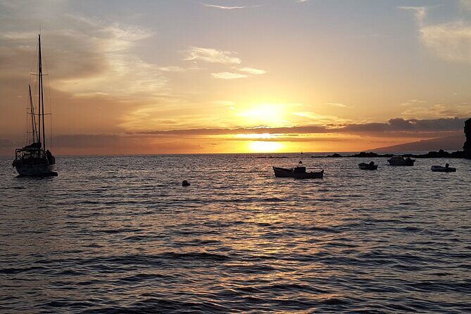 2 hour trip to see whales dolphins puerto colon adeje - Why Travelers Love This Tour