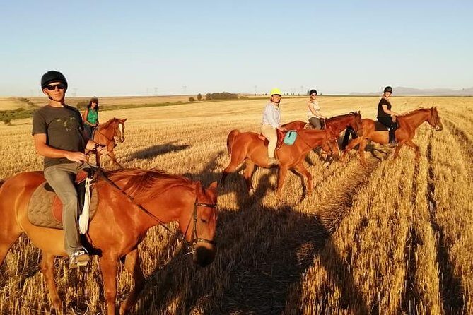 2 Hour Vineyard Trail Ride - What Makes the 2 Hour Vineyard Trail Ride Special