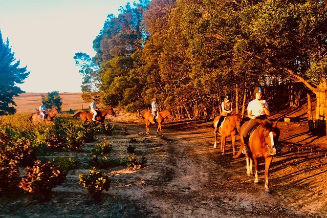 2 Hour Vineyard Trail Ride - Authentic Feedback from Travelers