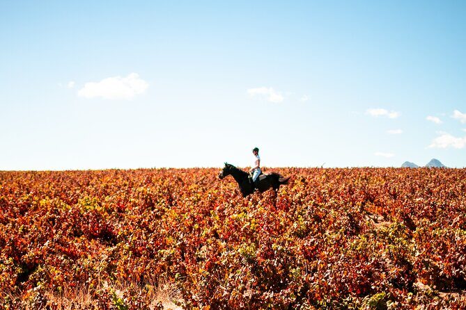 2 Hour Vineyard Trail Ride - FAQ