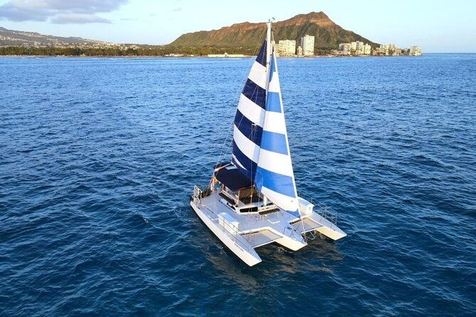 2-hour-waikiki-whale-watching-in-honolulu
