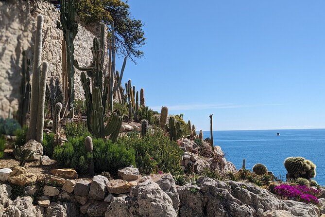 2-hour-walking-tour-in-the-old-town-of-antibes