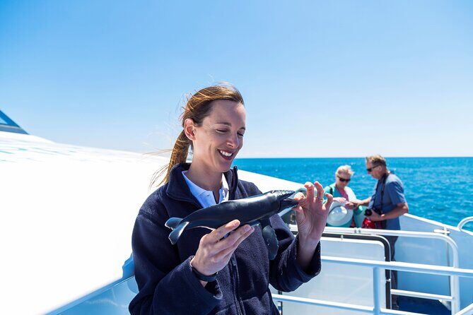 2 Hour Whale-Watching Cruise from Hillarys Boat Harbour - The Experience in Detail