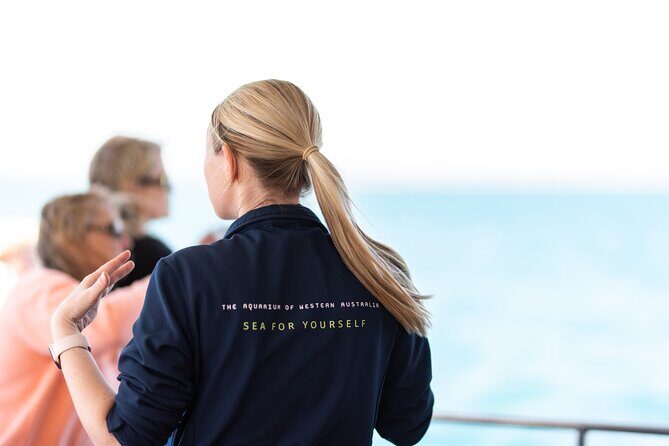 2 Hour Whale-Watching Cruise from Hillarys Boat Harbour - FAQ